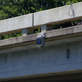 Sensor on Bridge