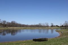 Reflective Lake