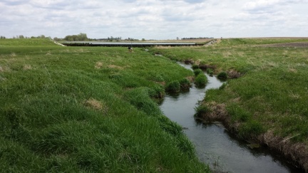 Creek with tall bank